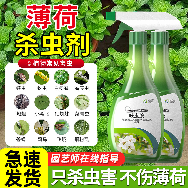薄荷叶杀虫剂驱虫药除虫非无毒小白虫防虫白粉虱盆栽生专用去蚜虫