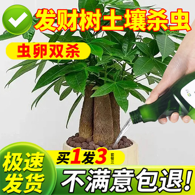发财树土壤杀虫剂家用花盆盆栽土里杀虫药花卉植物通用地下非专用