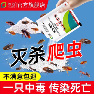 杀虫剂灭蟑螂跳蚤臭虫蚂蚁药家用室内非无毒床虱虫子药驱虫药粉剂