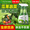 蔬菜杀虫剂蚜虫菜虫除虫剂青菜杀虫药非无毒菜园专用农药除灭蚂蚁