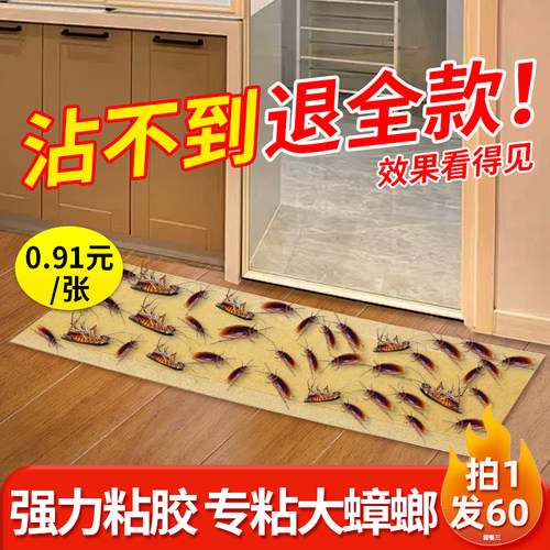 蟑螂贴强力粘灭小强蟑螂粘板端非药贴墙家用全窝厨房专用神器胶带