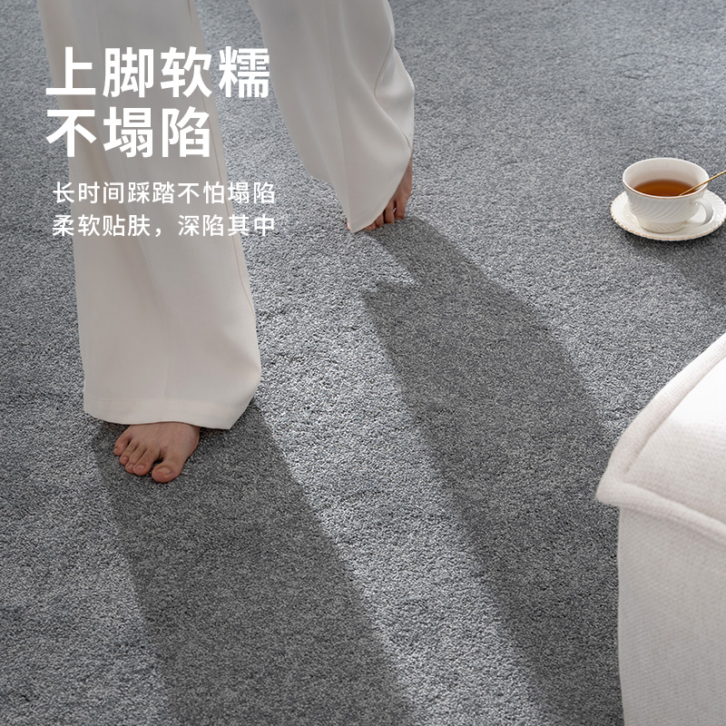 地毯客厅现代简约沙发茶几毯极简