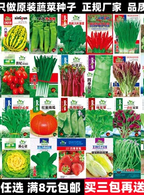 蔬菜种子四季播盆栽阳台庭院香菜青菜黄西瓜生菜小葱番茄籽孑大全