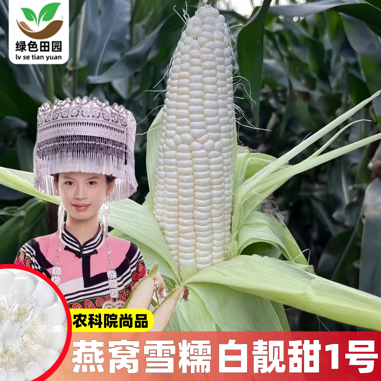 燕窝雪糯玉米种子白靓甜1号大棒全新第三代超甜糯玉米籽春夏秋播