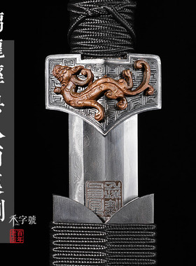 未开刃龙泉禾字号宝剑大师查长伟纯手工螭龙八面汉剑秦剑一体长剑