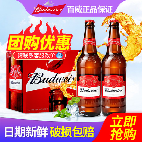 Budweiser/百威啤酒580ml*12瓶整箱玻璃瓶装原汁600ml*12瓶包邮