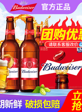 Budweiser/百威啤酒600ml*12瓶整箱特批价玻璃瓶原汁麦9.7°P