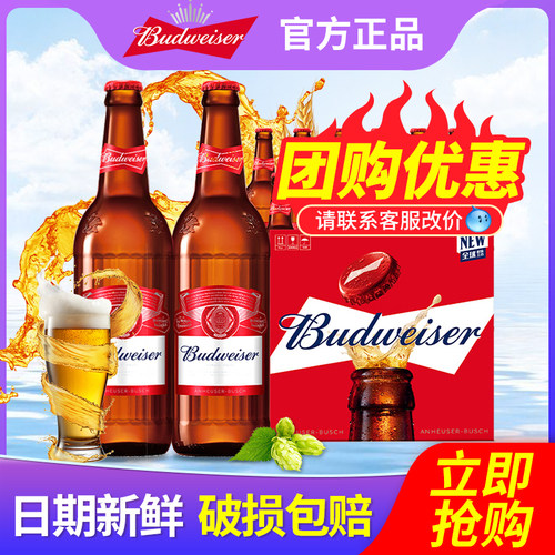 Budweiser/百威啤酒600ml*12瓶整箱特批价玻璃瓶原汁麦9.7°P
