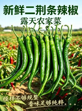 青二荆条中辣重庆新鲜辣椒线椒