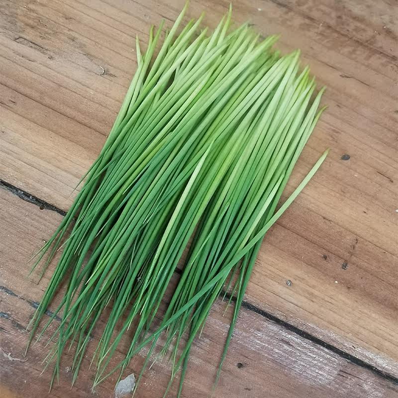 新鲜竹叶心竹叶嫩芽卷心竹针竹叶芯单竹心凉茶中药材竹叶芯茶