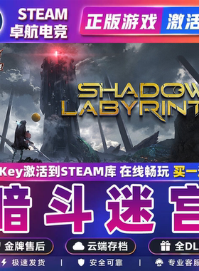 暗斗迷宫 正版Steam激活码CDKey入库 Shadow Labyrinth 全DLC游戏
