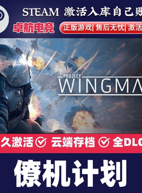 僚机计划 正版Steam激活码CDKey入库 Project Wingman 全DLC游戏