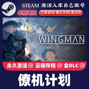 正版 Wingman Steam激活码 Project 全DLC游戏 CDKey入库 僚机计划