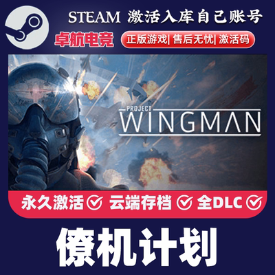 僚机计划 正版Steam激活码CDKey入库 Project Wingman 全DLC游戏