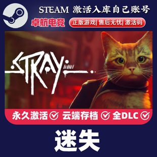 CDKey入库 Steam激活码 Stray全DLC赛博朋克单人冒险游戏 正版 迷失