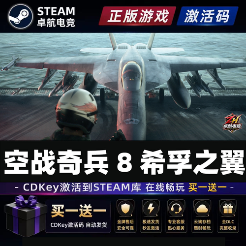 空战奇兵8希孚之翼Steam激活自己号ACE COMBAT 8: WINGS OF THEVE