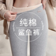 纯棉鲨鱼裤 冬季 加绒女外穿灰色加厚羊羔绒打底棉裤 2025新款 秋冬款