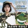 主图