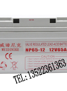 威谛尼克12V65AH 威谛尼克蓄电池NP65-12 UPS电源直流屏蓄电池