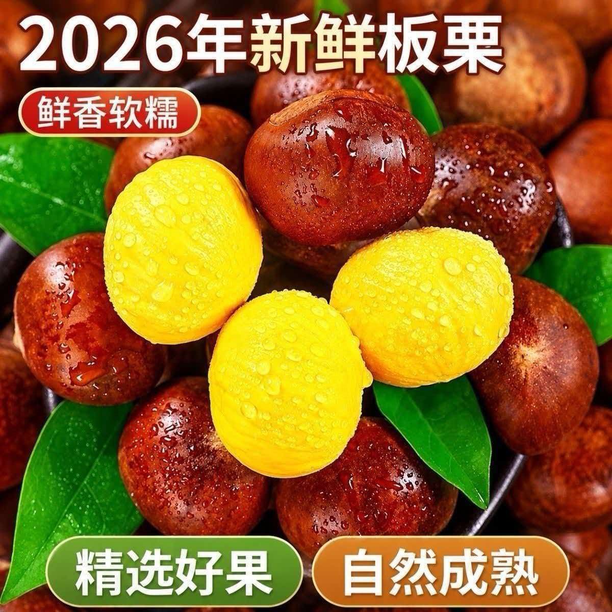 板栗生新鲜当季2026新鲜嫩野生板栗毛栗子农家板栗非锥栗小油栗子