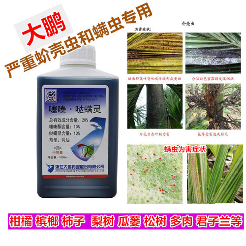 槟榔柑橘树红蜘蛛蚧壳虫噻嗪酮哒螨灵果树蔬菜矢尖介跳甲虫白粉虱