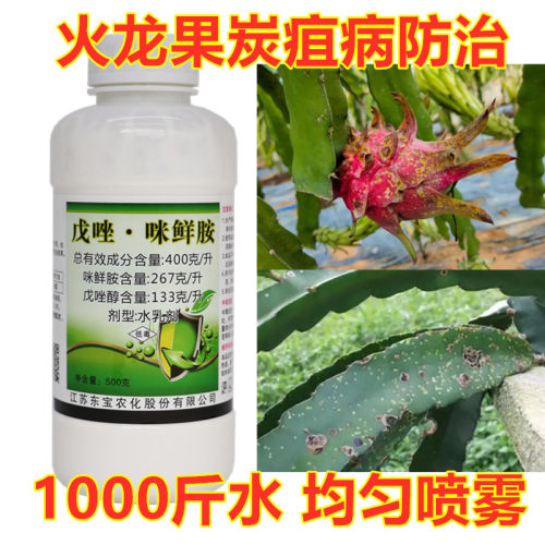 火龙果梨树咪鲜胺杀菌疮痂病