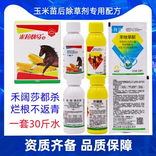 玉米除草剂套装尖叶草阔叶草烂根烟硝莠环磺酮苯唑草酮苞米除草剂
