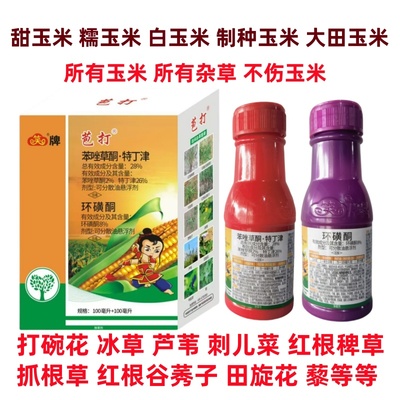甜玉米糯玉米制种玉米苗后除草剂杀打碗花芦苇草冰草红根谷莠子草