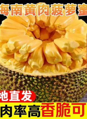 正宗海南菠萝蜜一整个新鲜水果包邮当季黄肉整箱香蕉热带大果果肉