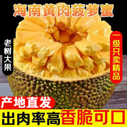 海南黄肉菠萝蜜新鲜水果包邮当季现摘波罗一整个整箱热带大果果肉