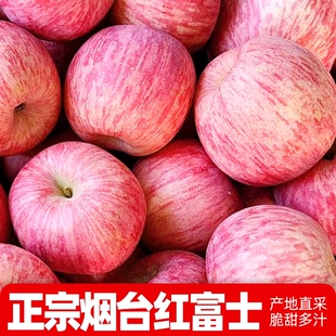 正宗山东烟台红富士苹果当季 红苹果脆甜新鲜薄皮水果整箱产地直采