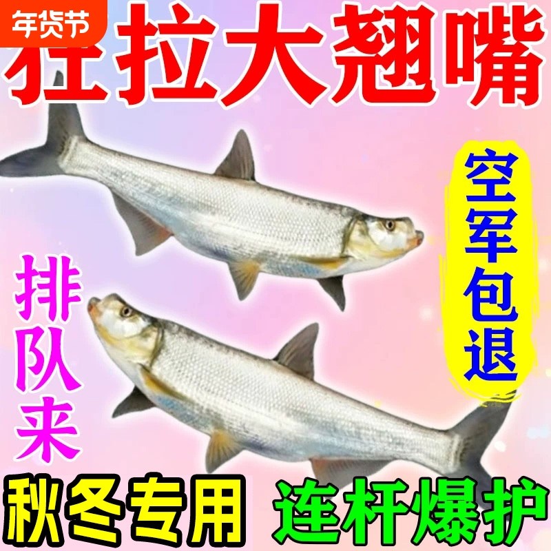 钓翘嘴专用饵料黑坑野钓专攻大翘嘴小药克星翘嘴白条鱼饵料诱食剂,户外/登山/野营/旅行用品,活饵/谷麦饵等饵料,淘宝优惠券,粉丝福利购,淘宝优惠卷