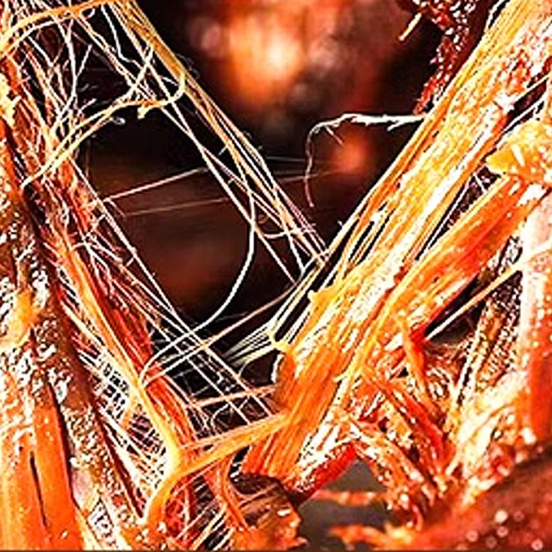 休闲零食正宗湖南手撕酱板鸭排岳阳特产年货肉类卤味熟食休闲零食,零食/坚果/特产,鸭肉零食,淘宝优惠券,粉丝福利购,淘宝优惠卷