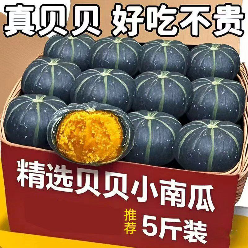 贝贝南瓜新鲜板栗味老南瓜正宗甜粉糯婴儿孕妇小南瓜5斤包邮蔬菜