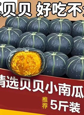 贝贝南瓜新鲜板栗味老南瓜正宗甜粉糯婴儿孕妇小南瓜5斤包邮蔬菜
