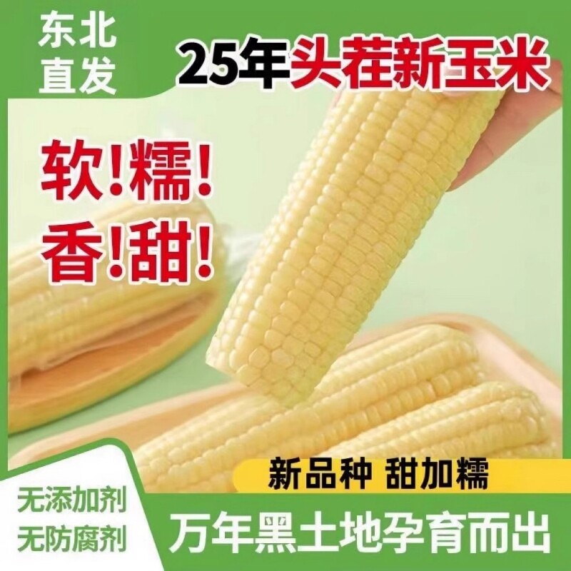 2025东北糯玉米真空包装黏苞米白糯玉米棒粘玉米熟黏玉米年货香甜