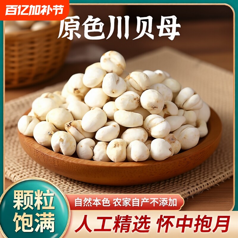 川贝四川阿坝川贝母粉500g正品天然干中药材无硫炖汤原味食用雪梨