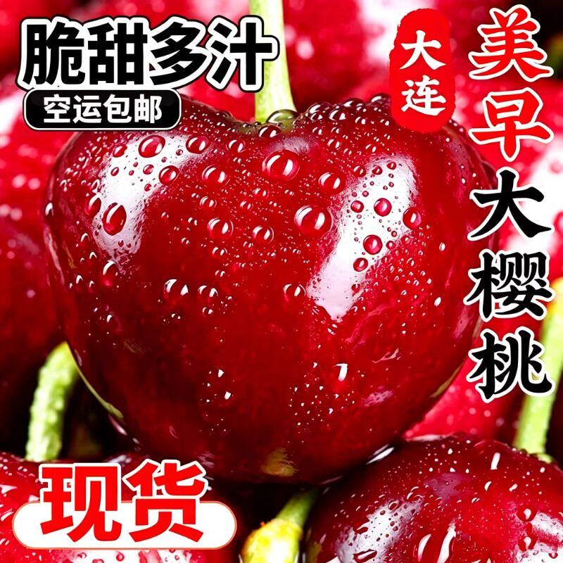 正宗大连美早大樱桃车厘子新鲜水果包邮5斤礼盒装当季整箱源头