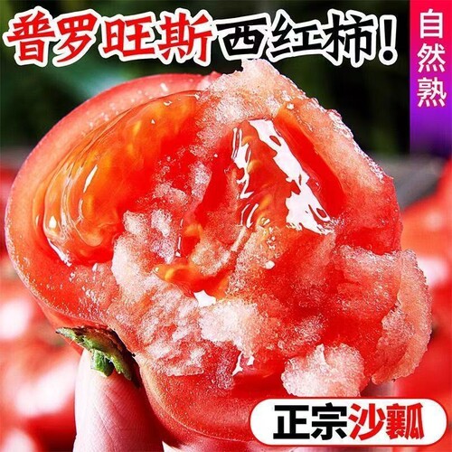 西红柿普罗旺斯高山自然熟番茄沙瓤孕妇生吃即食用农家鲜蔬菜新鲜
