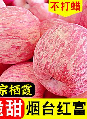 山东烟台红富士苹果脆甜多汁新鲜水果应季栖霞产地直发整箱批发