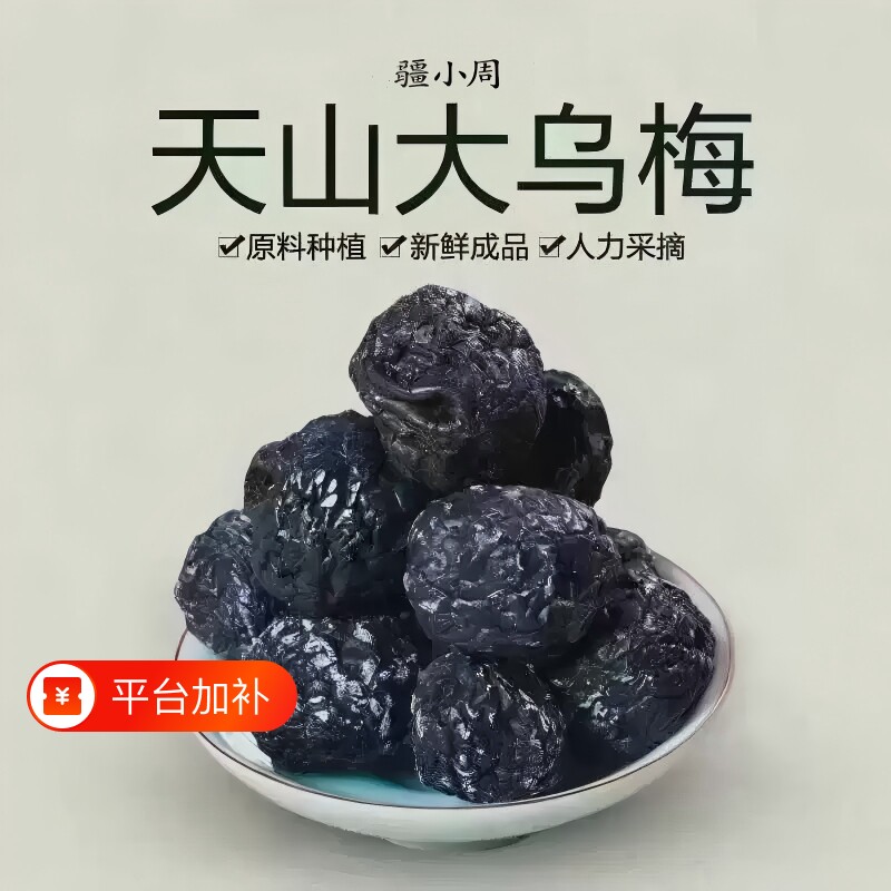 正宗新疆特产天山大乌梅乌梅干果脯新鲜蜜饯500g休闲零食乌梅青梅