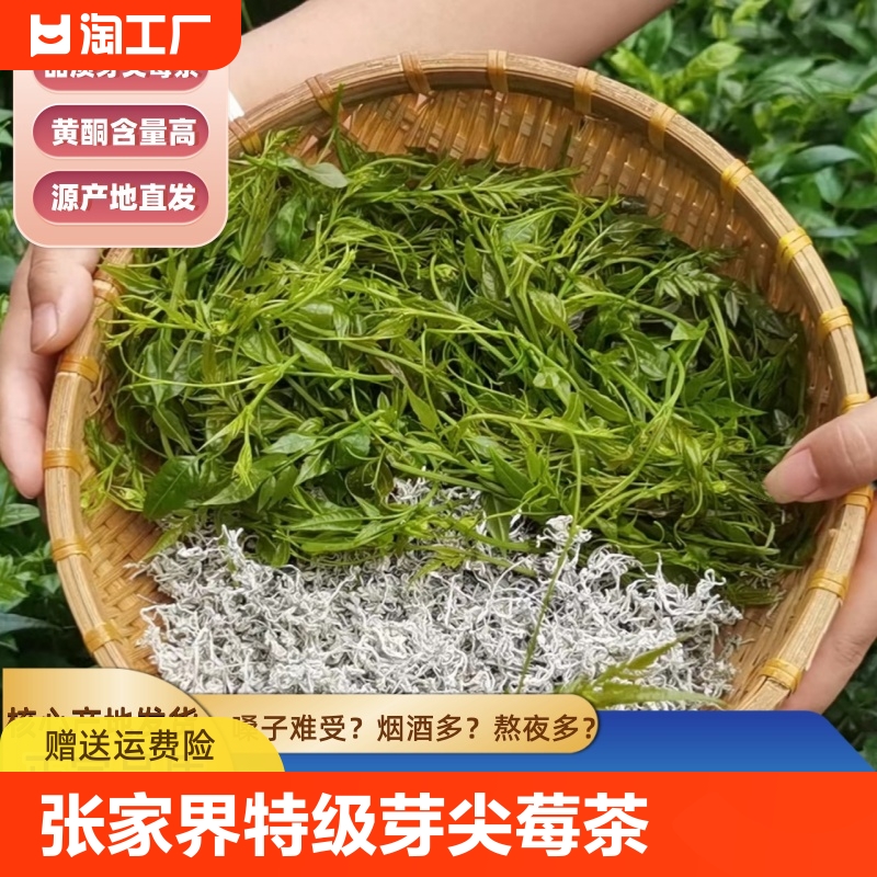 莓茶张家界特级野生嫩芽正宗土家特产龙须芽尖富硒黄酮茶正品农产 茶 莓茶 原图主图