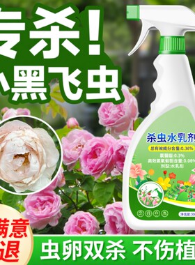 【专杀小黑飞】虫卵双杀