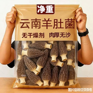 干货羊肚菌特产级云南新鲜羊肚菌头茬剪柄农家菌菇煲汤食材
