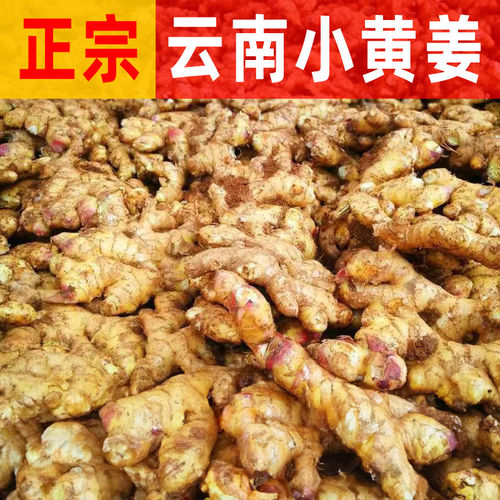 云南小黄姜新鲜生姜老姜现挖高山沙姜土姜正宗