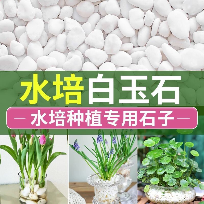 鹅卵石小石头郁金香水培石子养花专用多肉铺面石铺底雨花石五彩石