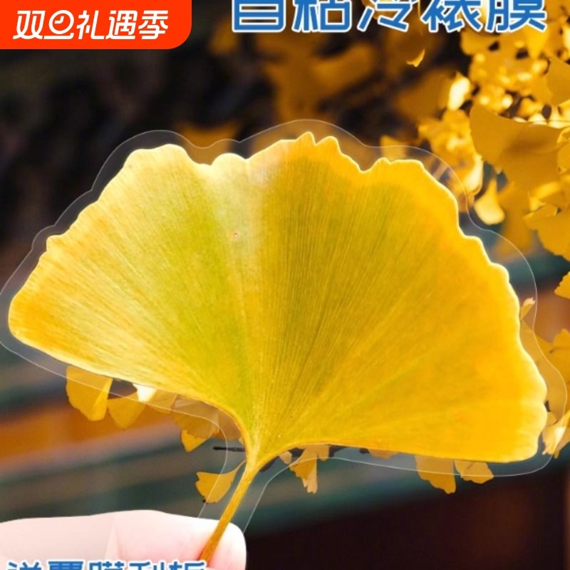 树叶标本冷裱膜书签落叶哑光相片塑封膜过塑膜塑封A4自封膜A3塑封