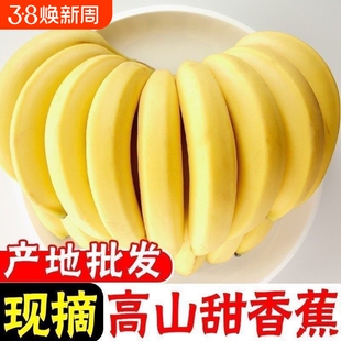 【优质】正宗高山香蕉当季水果青皮香蕉新货现摘当季新鲜整需催熟