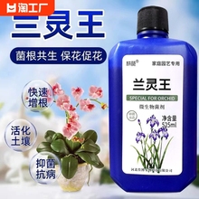 兰灵王兰花专用营养液肥料em菌兰蝴蝶兰陵王君子兰养花微生物开花