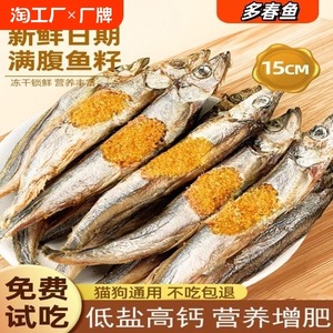 猫咪零食冻干多春鱼满籽小鱼干营养增肥发腮补钙磨牙成幼猫粮零食